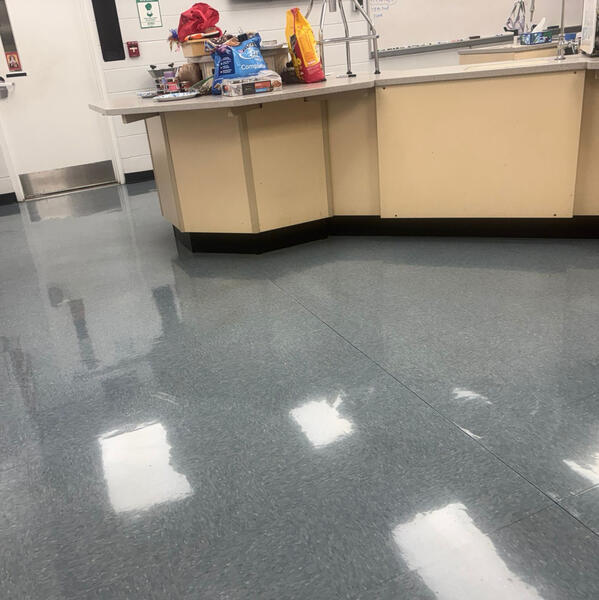 DD Magic Commercial Cleaning Fort Myers